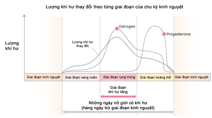 Nội tiết tố nữ ảnh hưởng tới chu kỳ của phụ nữ